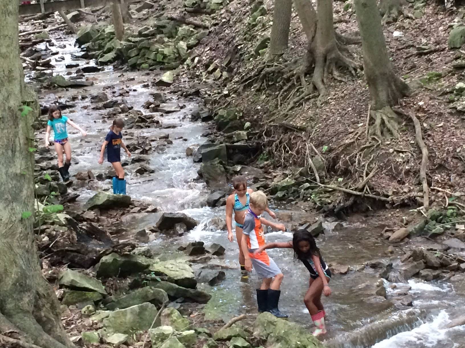 Exploring the creek. Photo: Canterbury Hills Camp staff