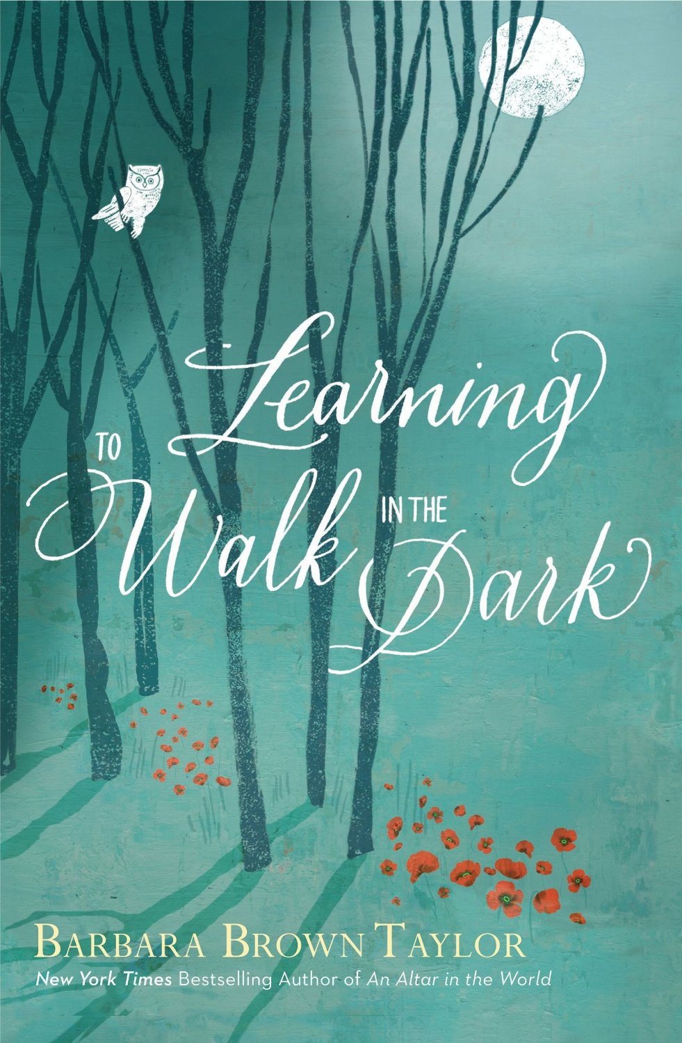 LearningtoWalkintheDark-BarbaraBrownTaylor